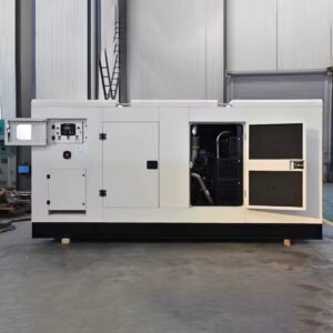 גנרטור שקט תלת פאזי 20kva 25kva 30kva 50kva 100kva 200kva 300kva 150kw 250kw 350kw 400kw 450kw